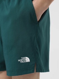 Шорты спортивные The North Face 24/7 5'' модель NF0A882D6GI1 Фото