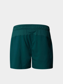 Шорты спортивные The North Face 24/7 5'' модель NF0A882D6GI1 Фото