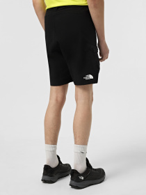 Шорты спортивные The North Face Packable модель NF0A883Q4H01 Фото