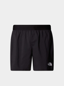 Шорты спортивные The North Face Breeze модель NF0A892NJK31 Фото