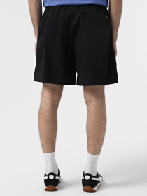 Шорты спортивные The North Face Class V Pathfinder Pull On модель NF0A8B5TJK31 Фото