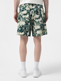 Спортивні шорти The North Face Class V Pathfinder Pull On модель NF0A8B5T5UV1 Фото