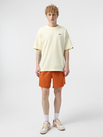 Шорты спортивные The North Face Summit Pacesetter 7in модель NF0A8BB55N51 Фото