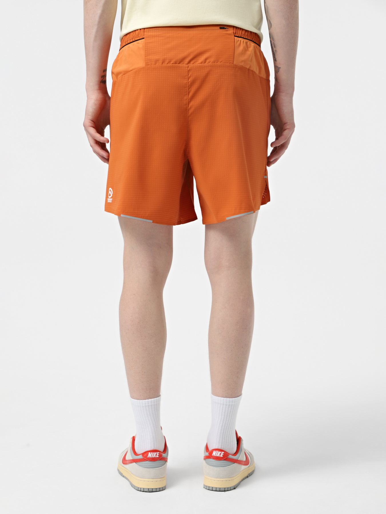 Шорты спортивные The North Face Summit Pacesetter 7in модель NF0A8BB55N51 Фото