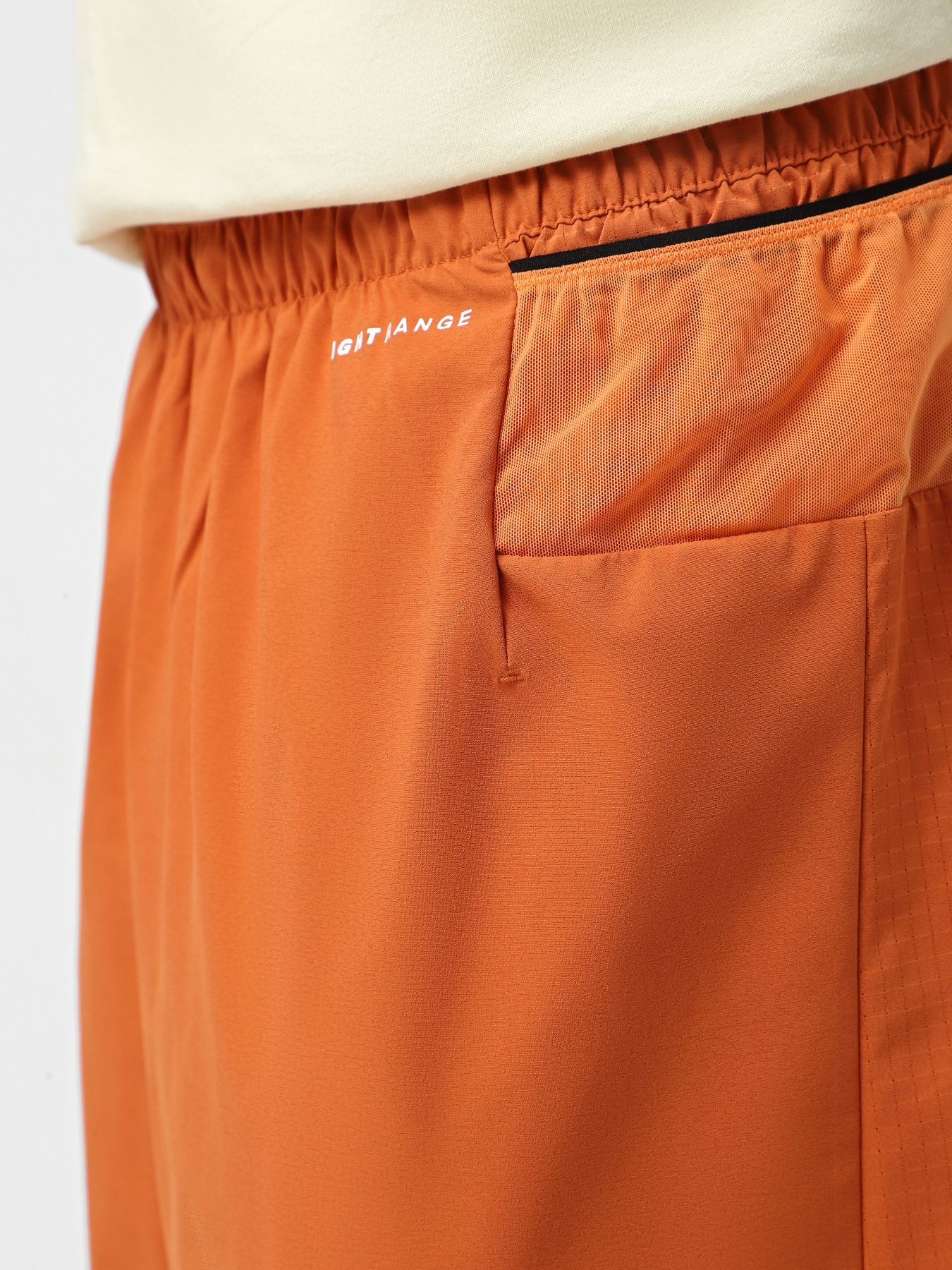 Шорты спортивные The North Face Summit Pacesetter 7in модель NF0A8BB55N51 Фото