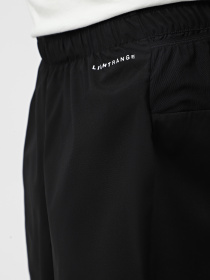 Шорты спортивные The North Face Summit Pacesetter 7in модель NF0A8BB5JK31 Фото