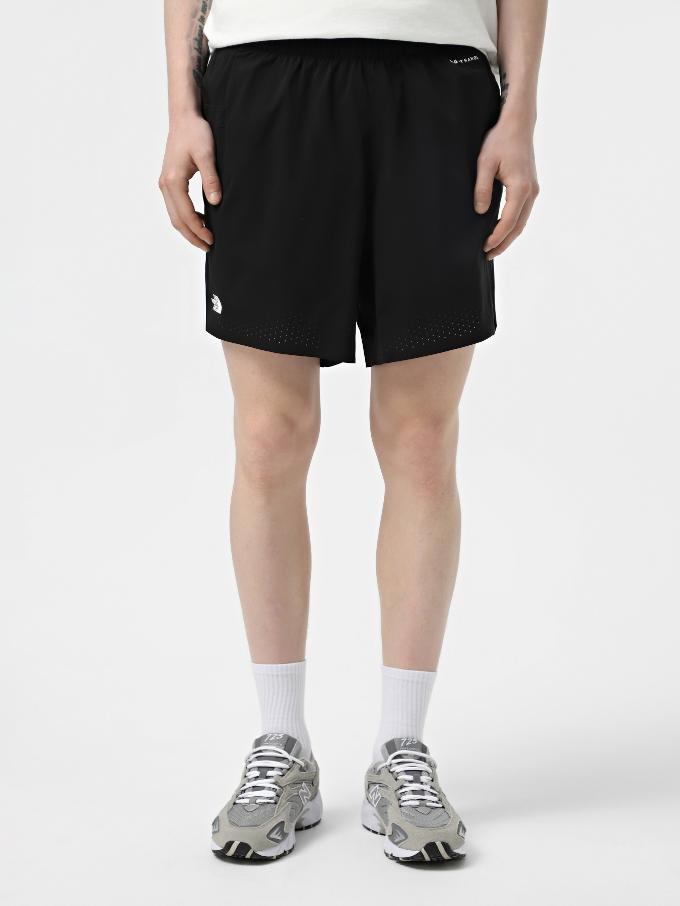 Шорты спортивные The North Face Summit Pacesetter 7in модель NF0A8BB5JK31 Фото