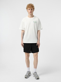 Шорты спортивные The North Face Summit Pacesetter 7in модель NF0A8BB5JK31 Фото