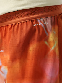 Шорты спортивные The North Face Sunriser модель NF0A8BBU63K1 Фото