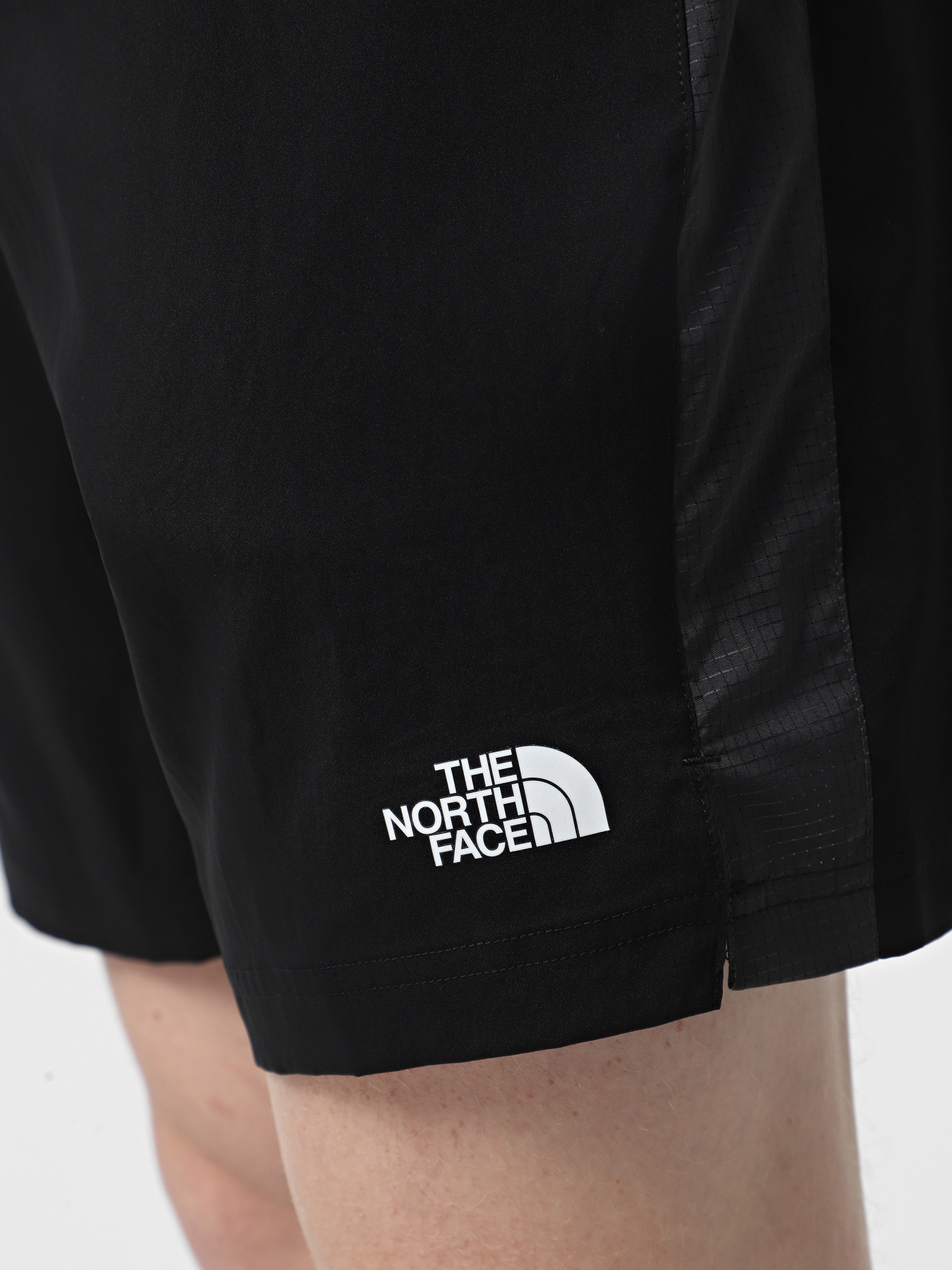 Шорты спортивные The North Face 24/7 Color Block модель NF0A8BEQKT01 Фото