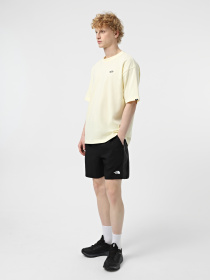 Шорты спортивные The North Face 24/7 Color Block модель NF0A8BEQKT01 Фото