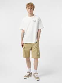 Шорты The North Face Exploration модель NF0A8BGGLK51 Фото