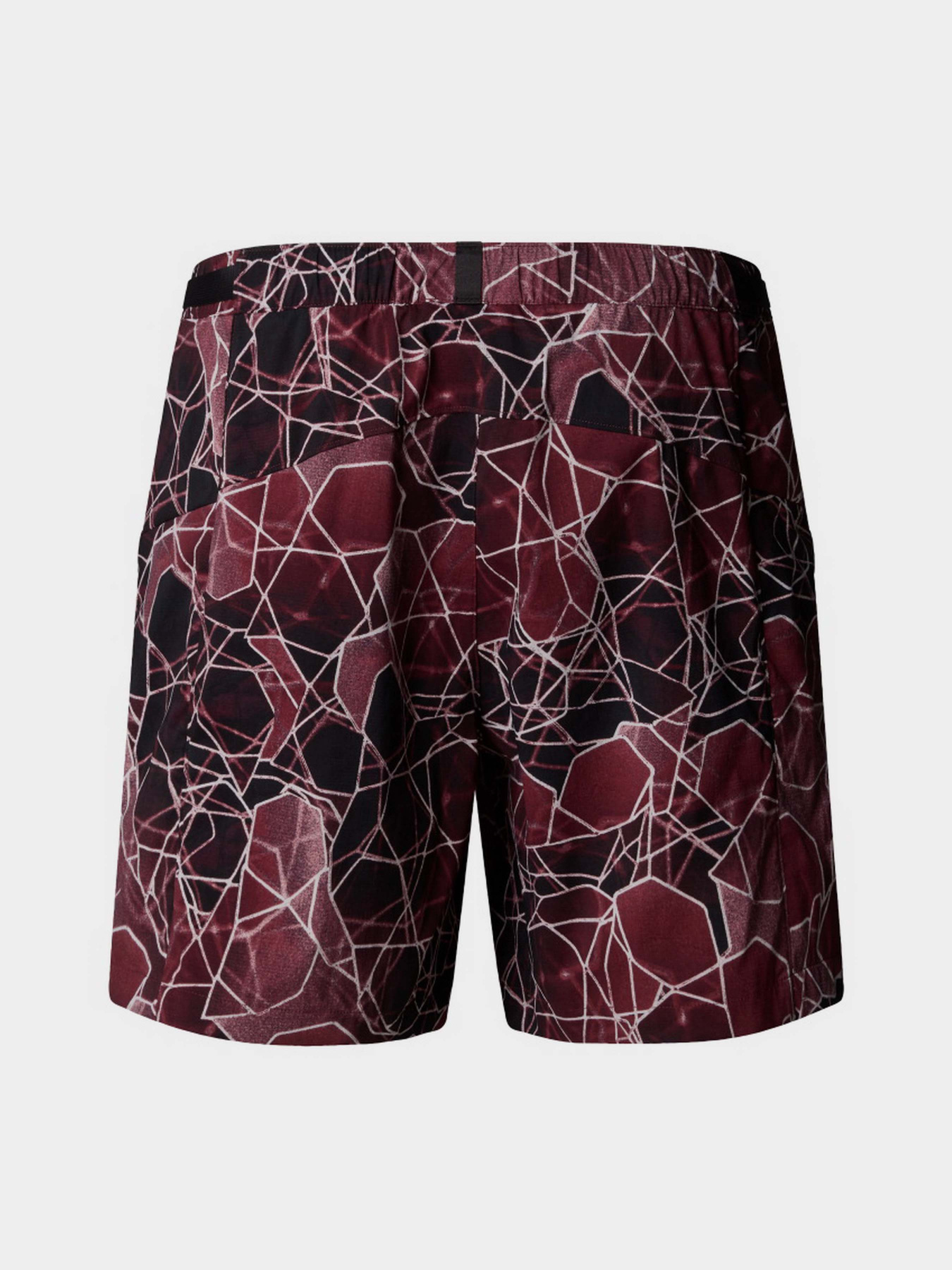 Шорты спортивные The North Face Class V Pathfinder Belted модель NF0A8BHV61G1 Фото