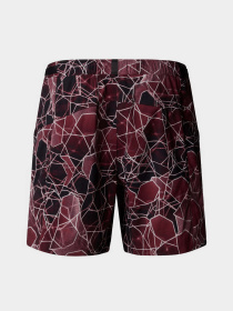 Шорты спортивные The North Face Class V Pathfinder Belted модель NF0A8BHV61G1 Фото