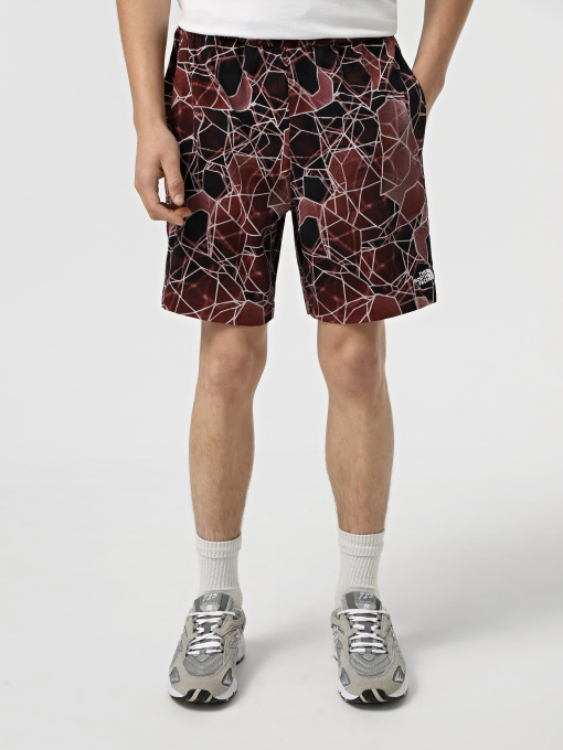 Спортивні шорти The North Face Class V Pathfinder Belted модель NF0A8BHV61G1 Фото