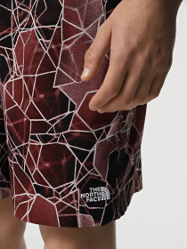 Спортивні шорти The North Face Class V Pathfinder Belted модель NF0A8BHV61G1 Фото