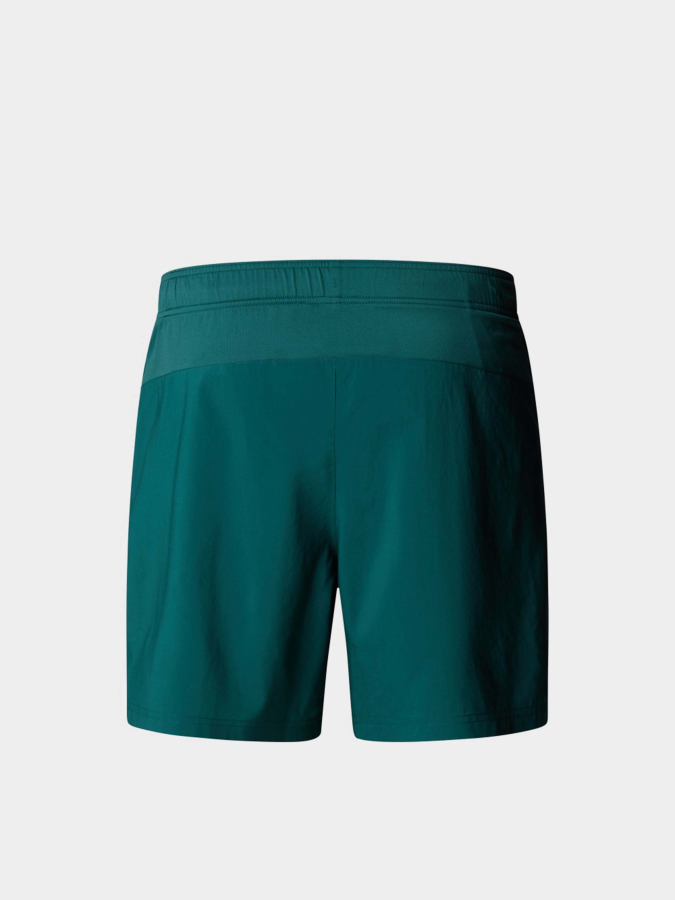 Шорты спортивные The North Face 24/7 7in Shorts Graphic модель NF0A8BP66GI1 Фото