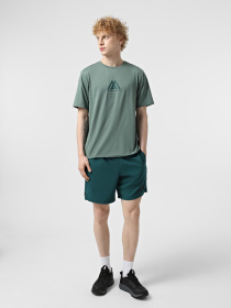 Шорты спортивные The North Face 24/7 7in Shorts Graphic модель NF0A8BP66GI1 Фото