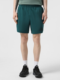 Шорты спортивные The North Face 24/7 7in Shorts Graphic модель NF0A8BP66GI1 Фото