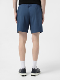 Спортивні шорти The North Face 24/7 7in Shorts Graphic модель NF0A8BP6HDC1 Фото