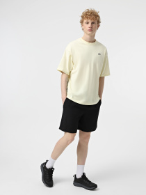 Шорты спортивные The North Face Water Short модель NF0A5IG54H01 Фото