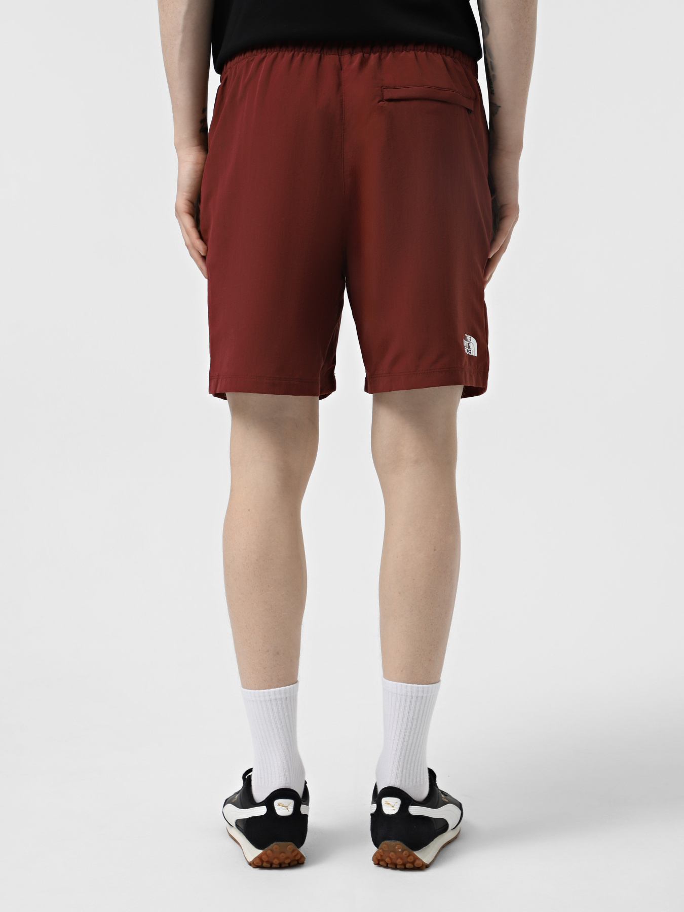 Шорты спортивные The North Face Water Short модель NF0A5IG50VO1 Фото