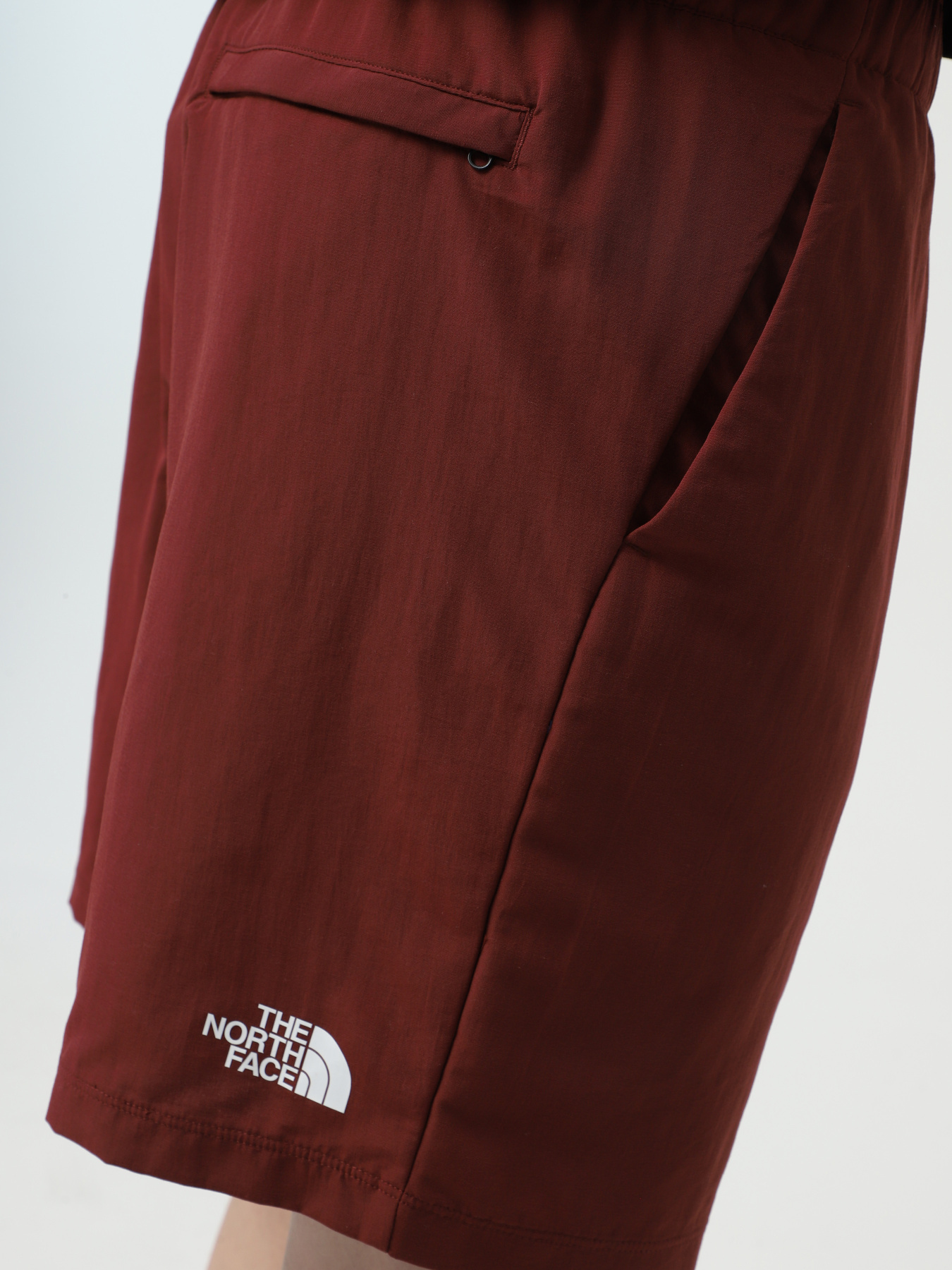 Шорты спортивные The North Face Water Short модель NF0A5IG50VO1 Фото