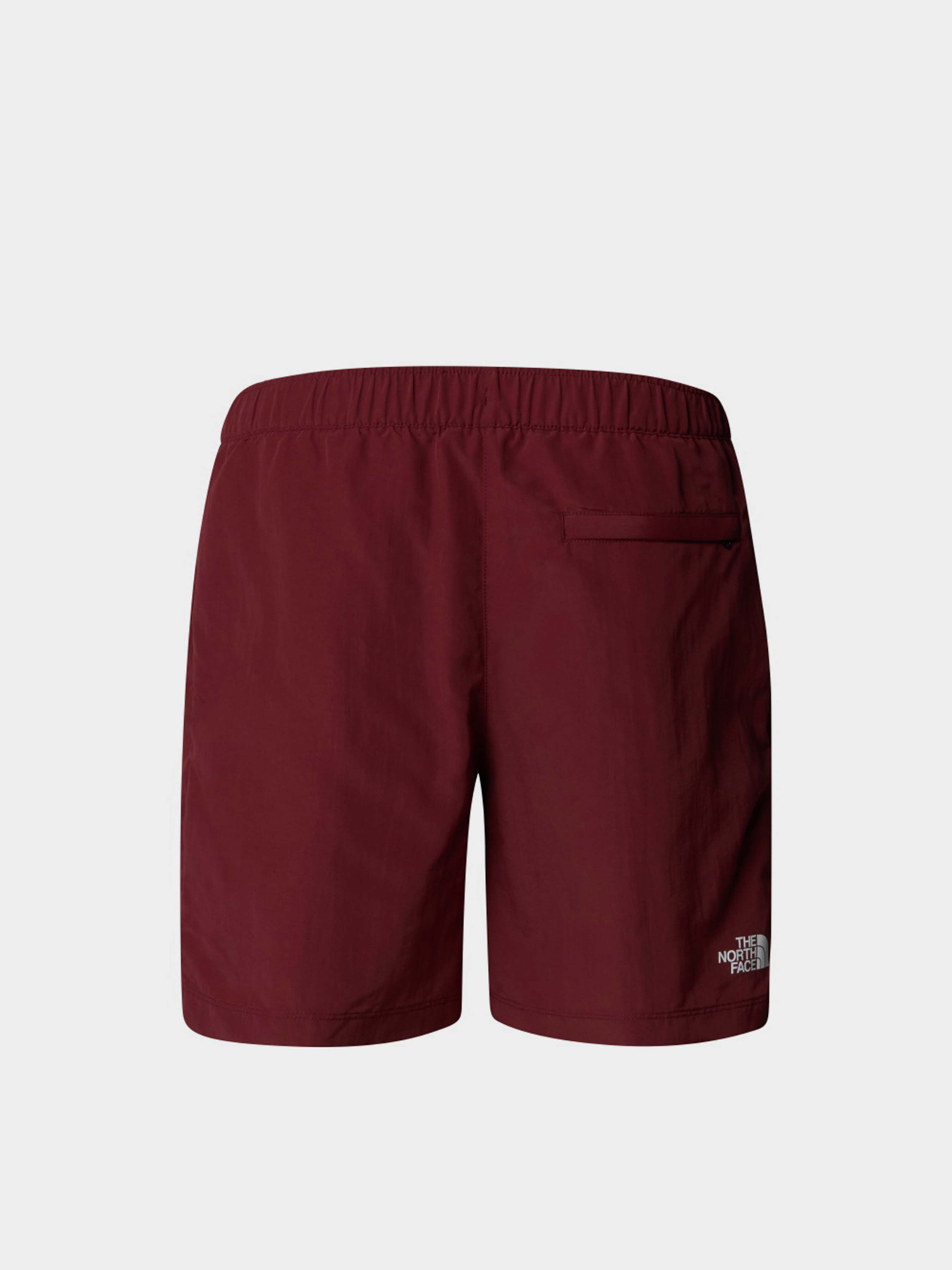 Шорты спортивные The North Face Water Short модель NF0A5IG50VO1 Фото