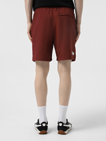 Шорты спортивные The North Face Water Short модель NF0A5IG50VO1 Фото