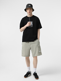 Шорты спортивные The North Face NSE модель NF0A8BJM1I41 Фото