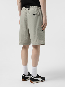 Шорты спортивные The North Face NSE модель NF0A8BJM1I41 Фото