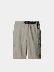 Шорты спортивные The North Face NSE модель NF0A8BJM1I41 Фото