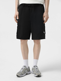 Спортивні шорти The North Face NSE модель NF0A8BJMJK31 Фото