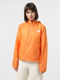Ветровка The North Face Cyclone Wind модель NF0A8B6G0TO1 Фото