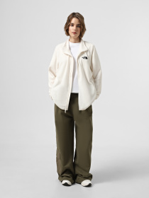 Кофта The North Face 100 Glacier Full Zip модель NF0A856VQLI1 Фото