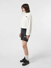 Кофта The North Face 100 Glacier 1/2 Zip Fleece модель NF0A89J9QLI1 Фото