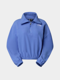 Кофта The North Face 100 Glacier 1/2 Zip Fleece модель NF0A89J90YI1 Фото