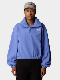 Кофта The North Face 100 Glacier 1/2 Zip Fleece модель NF0A89J90YI1 Фото