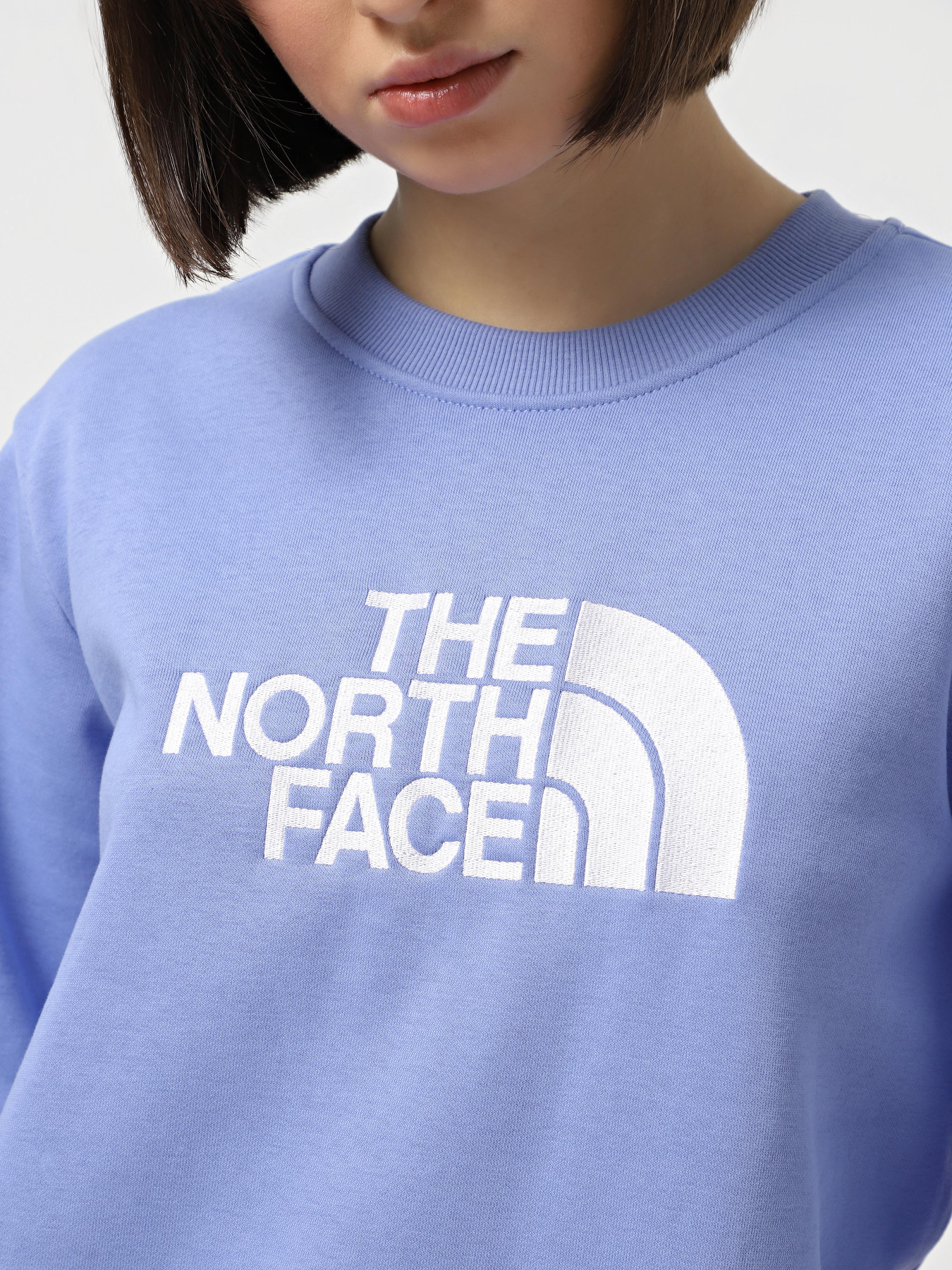 Свитшот The North Face Drew Peak Crew модель NF0A89EF7UH1 Фото