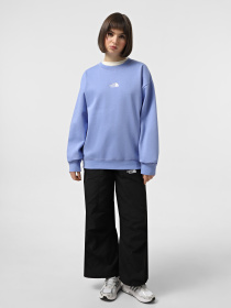 Світшот The North Face Essential модель NF0A89EP0YI1 Фото