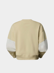 Свитшот The North Face Terry модель NF0A8C2C3X41 Фото