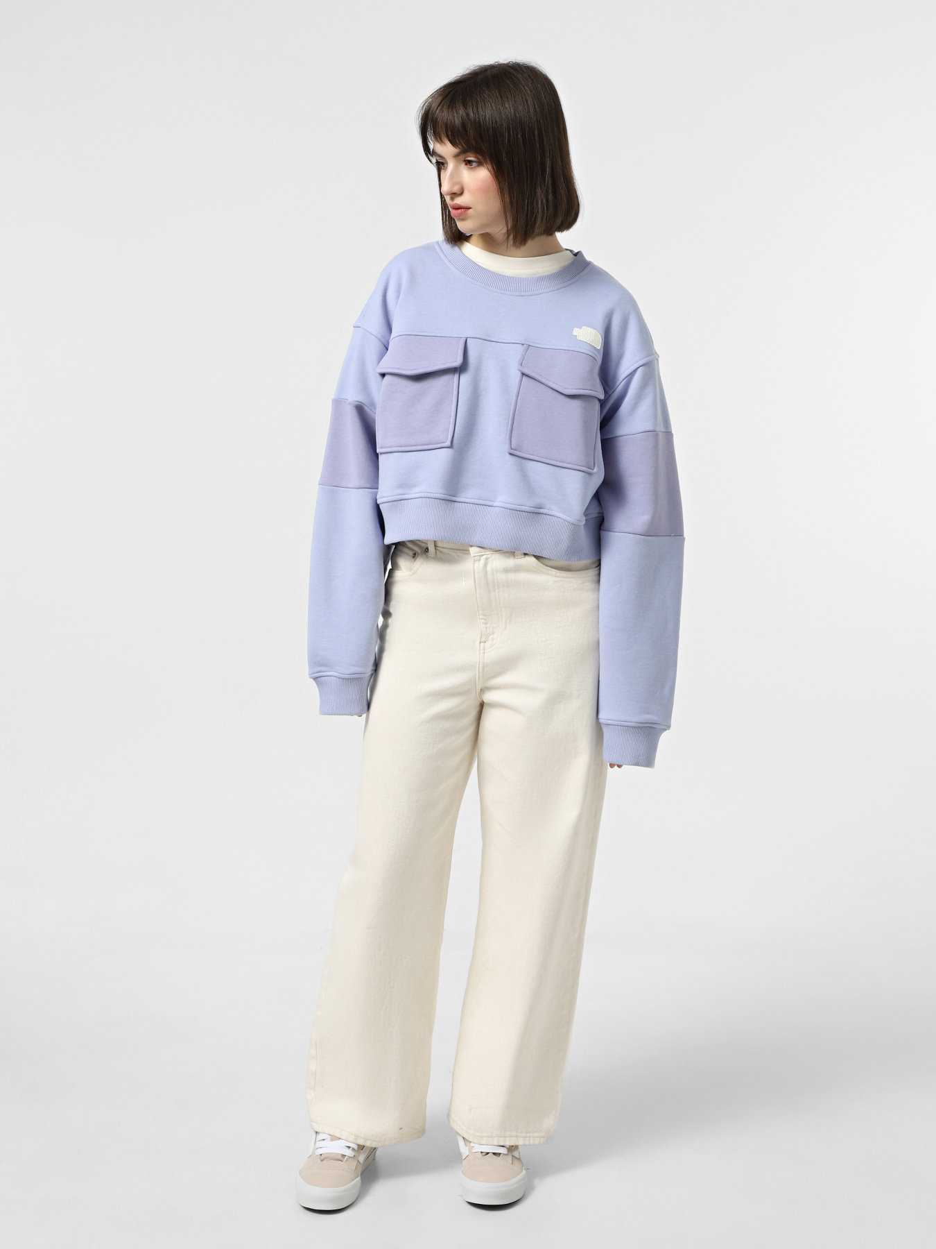Свитшот The North Face Terry Oversized Cropped модель NF0A8C2C0VI1 Фото