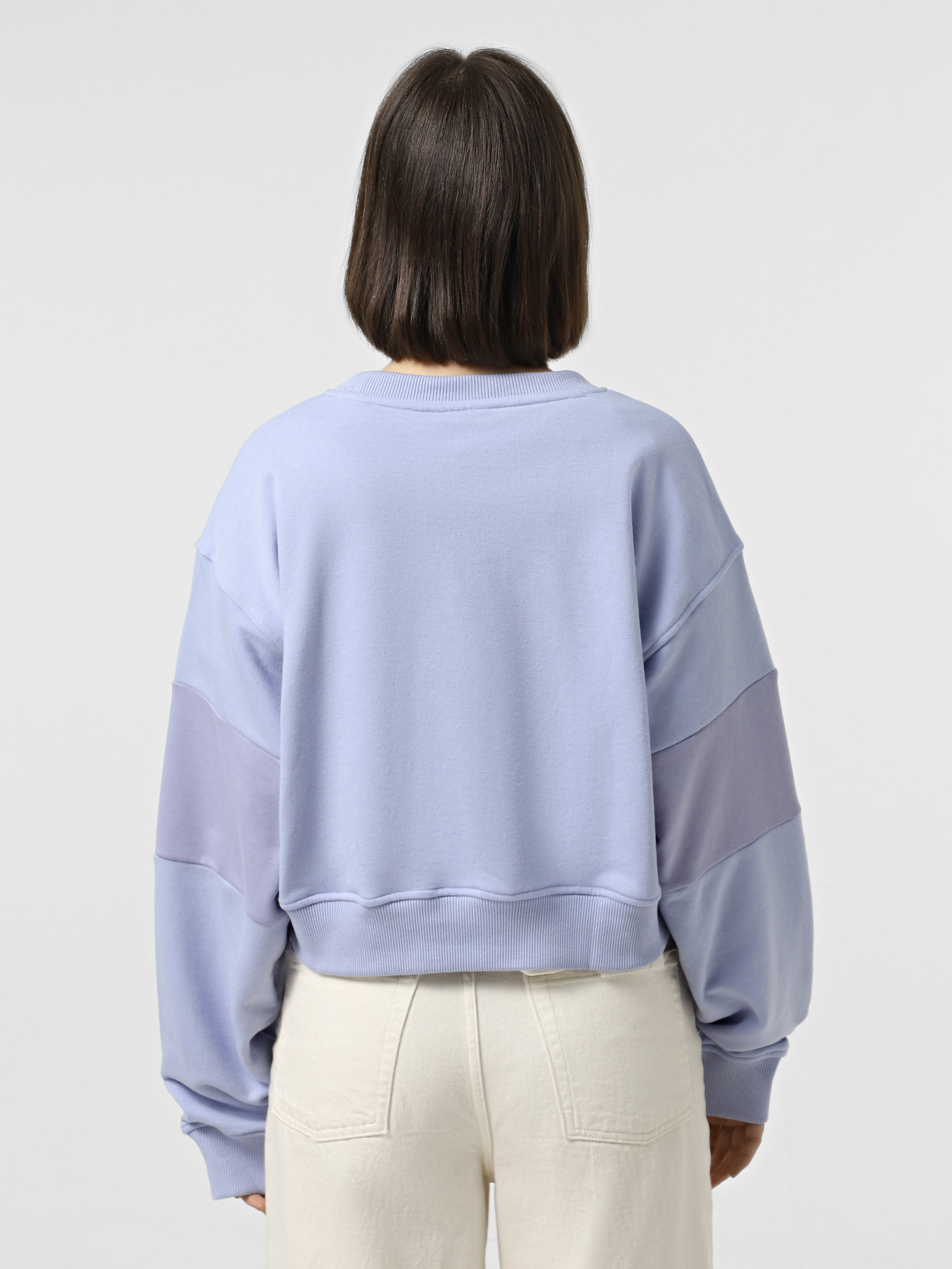 Свитшот The North Face Terry Oversized Cropped модель NF0A8C2C0VI1 Фото