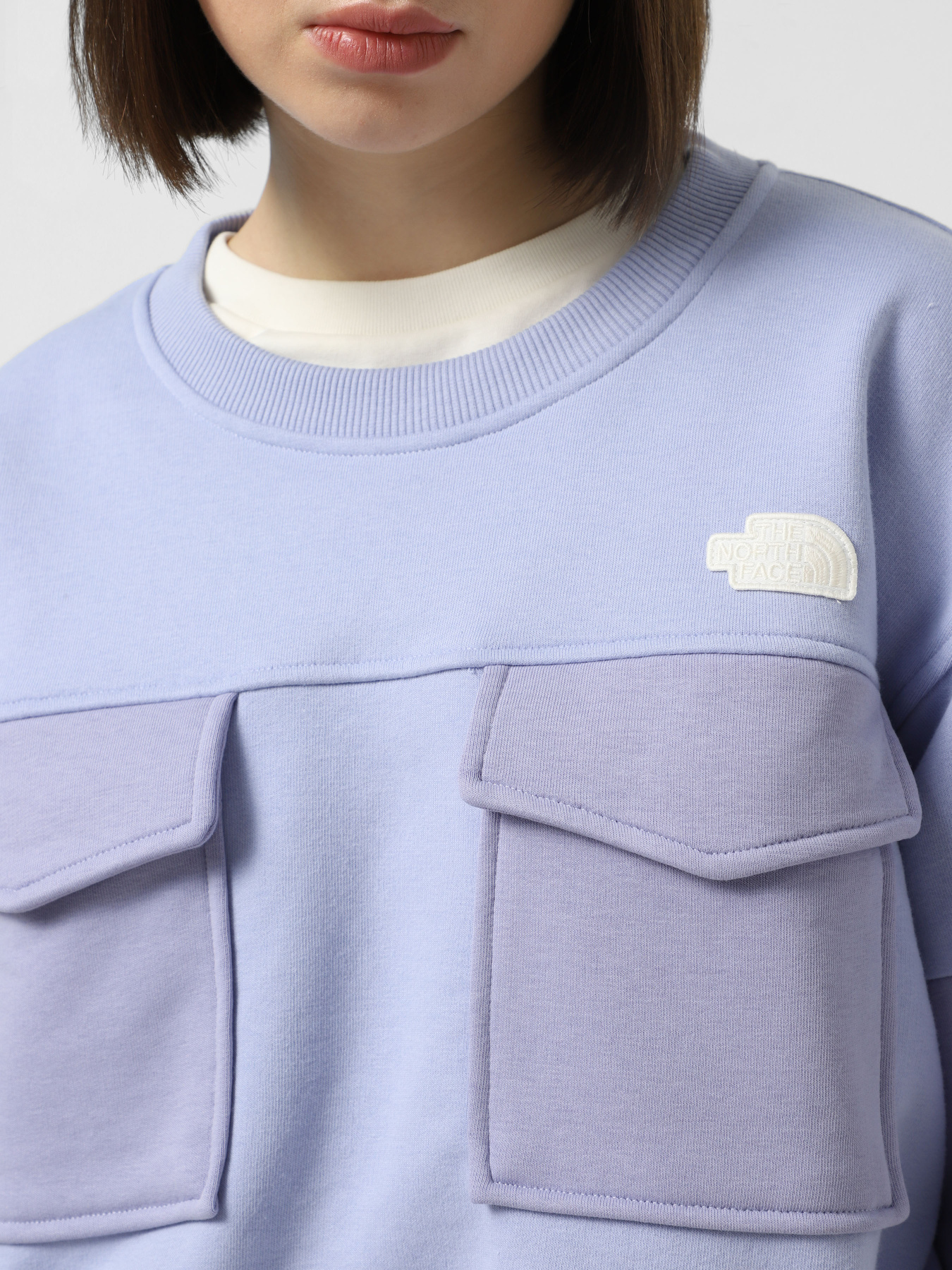 Свитшот The North Face Terry Oversized Cropped модель NF0A8C2C0VI1 Фото