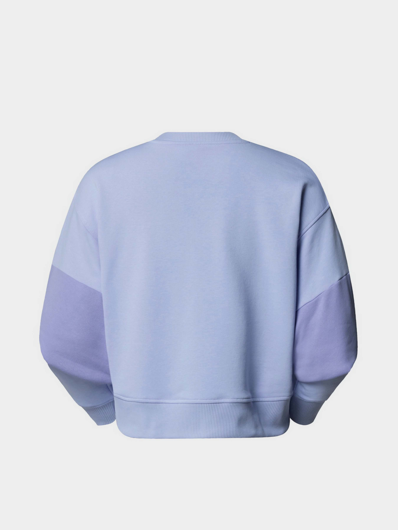 Свитшот The North Face Terry Oversized Cropped модель NF0A8C2C0VI1 Фото