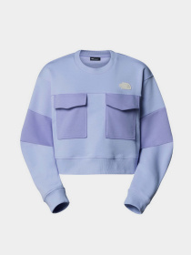 Світшот The North Face Terry Oversized Cropped модель NF0A8C2C0VI1 Фото