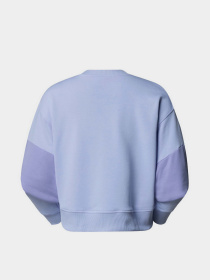 Світшот The North Face Terry Oversized Cropped модель NF0A8C2C0VI1 Фото