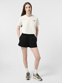 Футболка The North Face Box NSE Модель NF0A87NK95R1 Фото