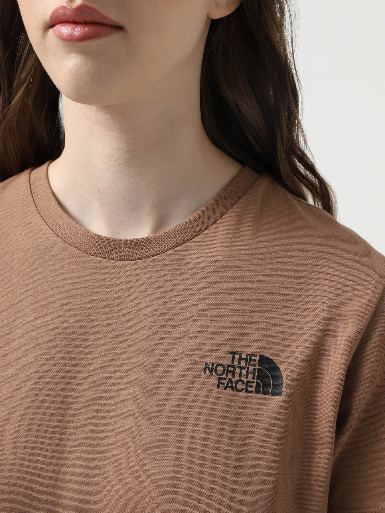 Футболка The North Face Box NSE модель NF0A87NK6E11 Фото