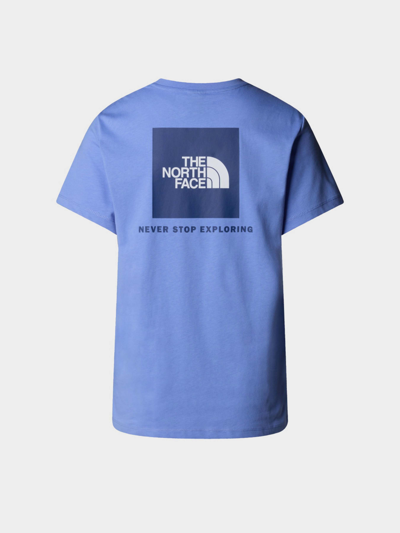 Футболка The North Face Box NSE модель NF0A87NK9W91 Фото